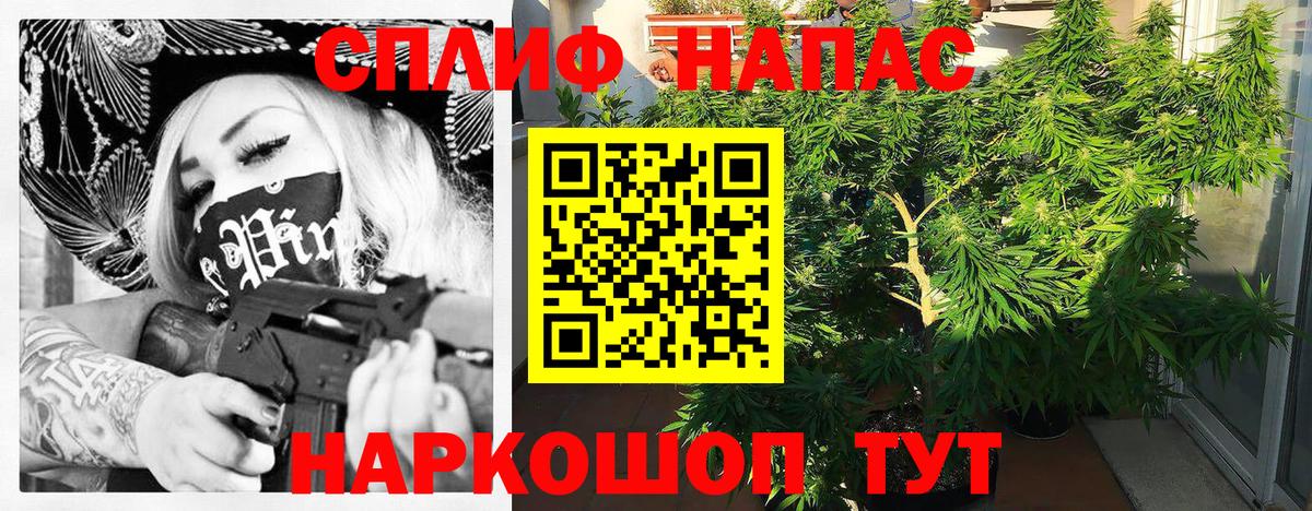 Канабис план  Вход с VPN  Котовск  Бошки Шишки THC 21%  МАРИХУАНА VHQ 